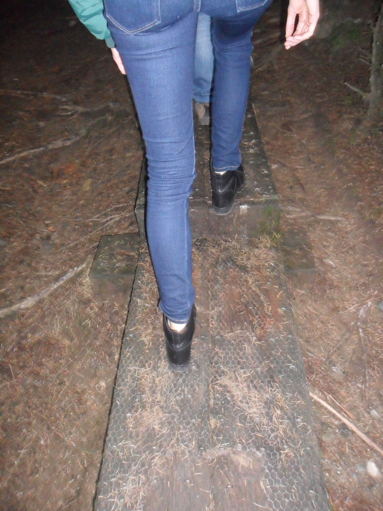 Hölzerne Treppen durch den Wald