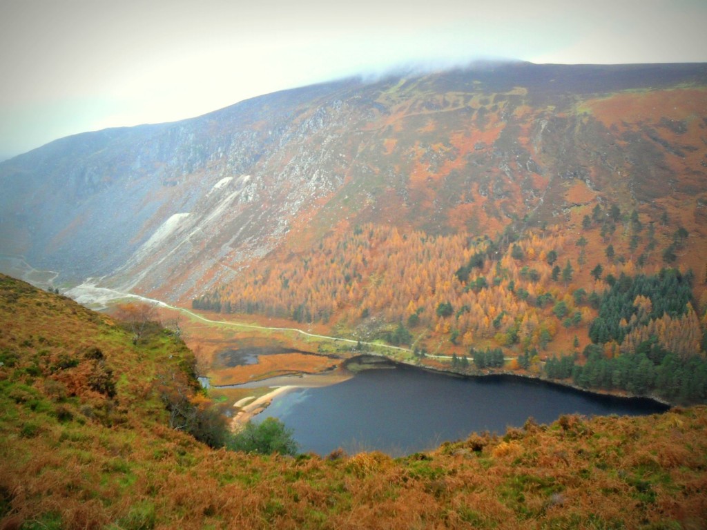 Herbst in den Wicklow Mountains