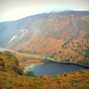 Herbst in den Wicklow Mountains
